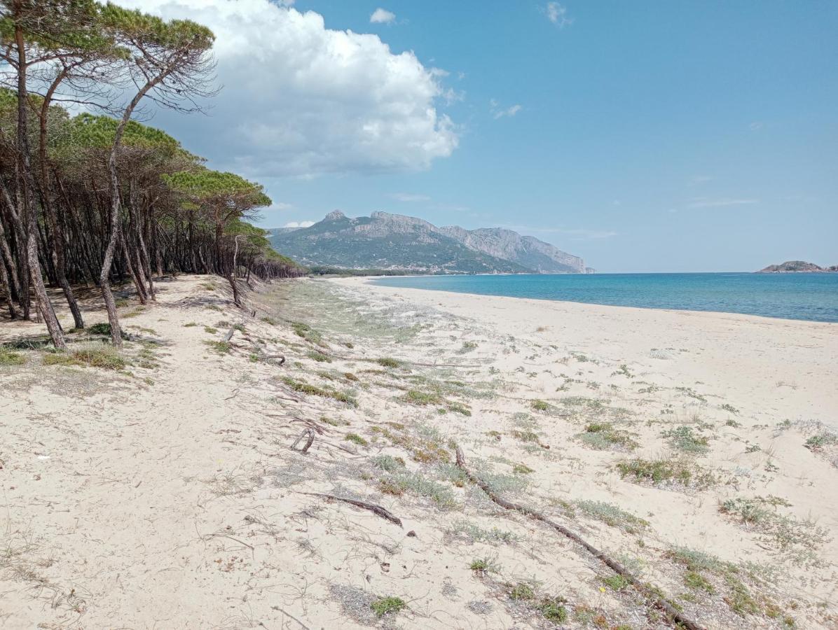 Locanda D'Ogliastra, Triei Екстер'єр фото