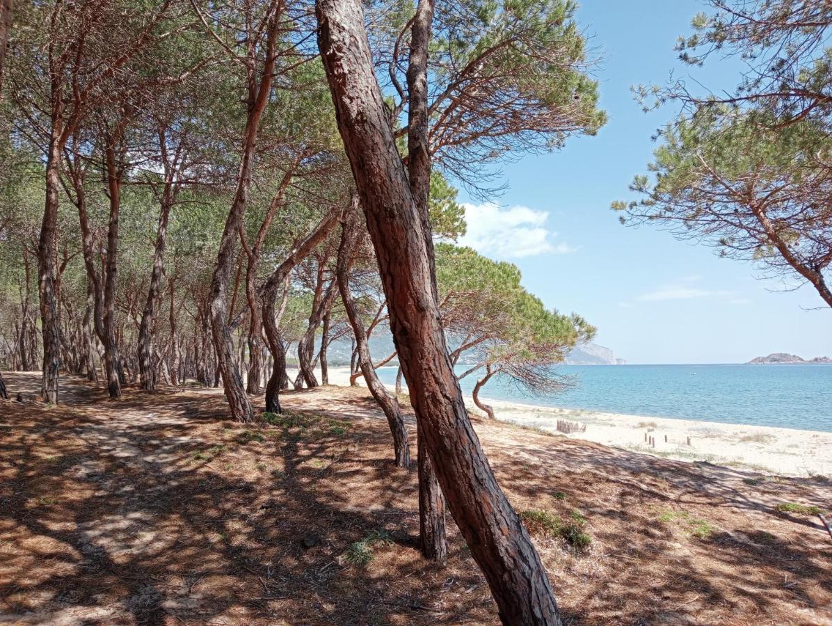 Locanda D'Ogliastra, Triei Екстер'єр фото